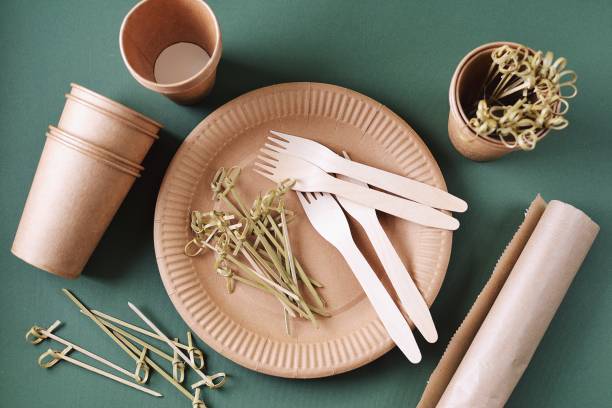 Disposable biodegradable tableware on craft paper - forks, glasses, plates, bamboo skewers, parchment and toilet paper. Zero Waste. stock photo