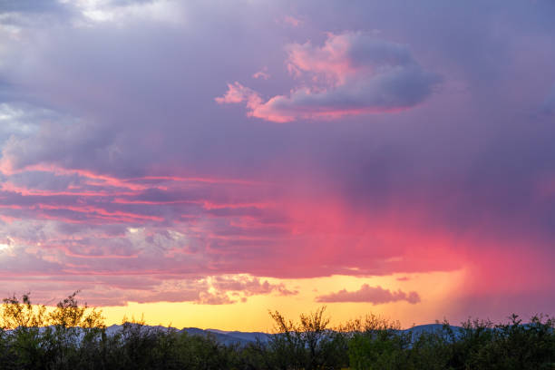 Distant rain in the Sonoran Desert of Arizona during sunset stock photo