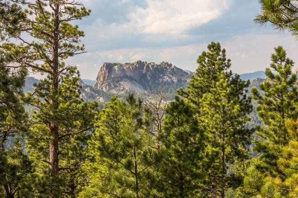 Distant View of Mount Rushmore stock photo