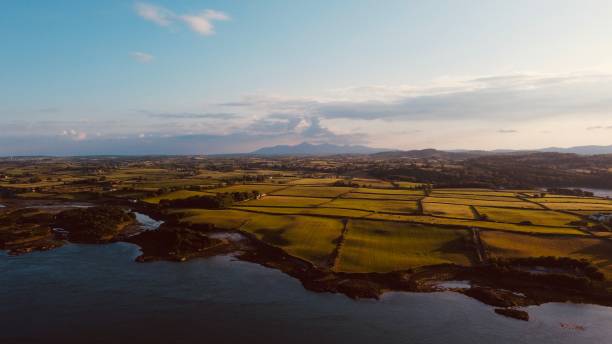 Distant view of the Mourne Mountains Distant view of the Mourne Mountains from Strangford Co.Down strangford lough stock pictures, royalty-free photos & images