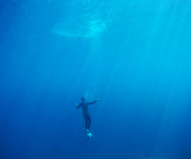 Diver Deep blue sea deep sea diving stock pictures, royalty-free photos & images