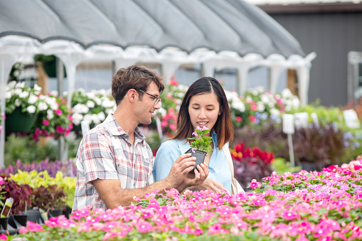 Diverse Couple Shop For Flowers In Local Nursery Stockfoto Und
