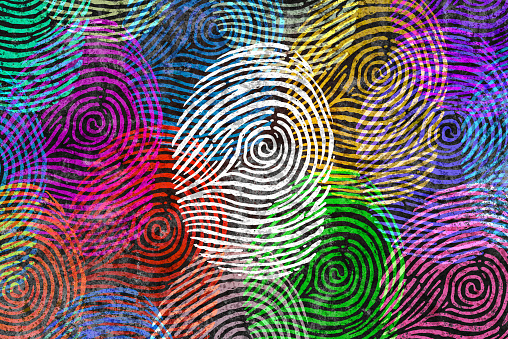 Diversity identity and privacy concept and personal private data symbol as diverse finger prints or fingerprint icons and census population in a 3D illustration style.