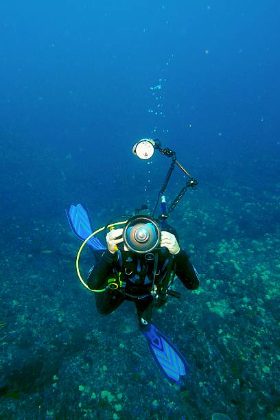 Diving photographer Shot of a diving photographer at about 15M deep with camera with a wide angle lens and dome port very similar to the equipment this shot was taken with. Cropped with the colors punched up a bit from a similar picture in my portfolio stetner stock pictures, royalty-free photos & images
