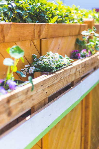doe het zelf bloembak in de eigen tuin: lentebloemen in europalet - hangplant wood stockfoto's en -beelden