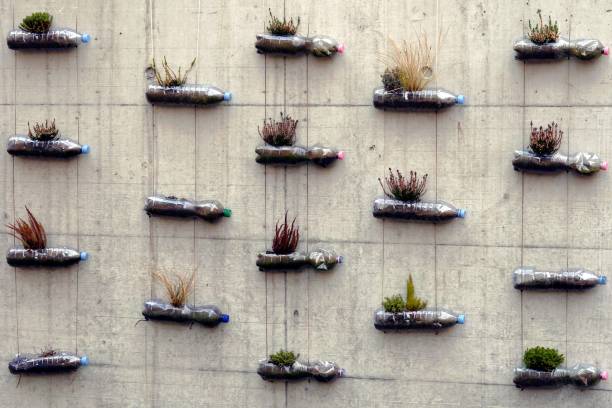 Do it yourself garden of up-cycled plastic bottles are alternative flower pots forming micro urban minimalist vertical garden for decoration plants. Bottles are fixed with strings on concrete wall. Do it yourself garden of up-cycled plastic bottles are alternative flower pots forming micro urban minimalist vertical garden for decoration plants. Bottles are fixed with strings on concrete wall. upcycling stock pictures, royalty-free photos & images