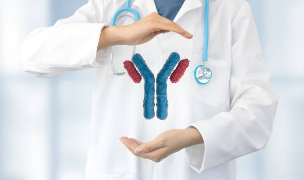 doctor analyzes monoclonal antibodies stock photo