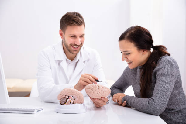 Doctor Explaining Details Of Human Brain To Woman Doctor Explaining Details Of Human Brain To Happy Woman With Model neurologist stock pictures, royalty-free photos & images