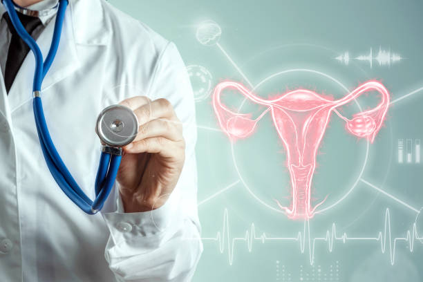 Doctor on the background of a hologram of the female organ of the uterus, diseases of the uterus and ovaries, menstrual pain. Medical examination, women's consultation, gynecology. stock photo
