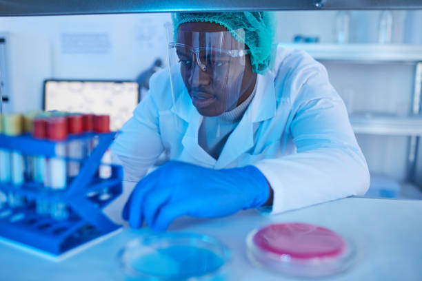 Doctor working with medical analysis African doctor sitting at the table and examining medical samples in test tubes in medical lab medical research stock pictures, royalty-free photos & images