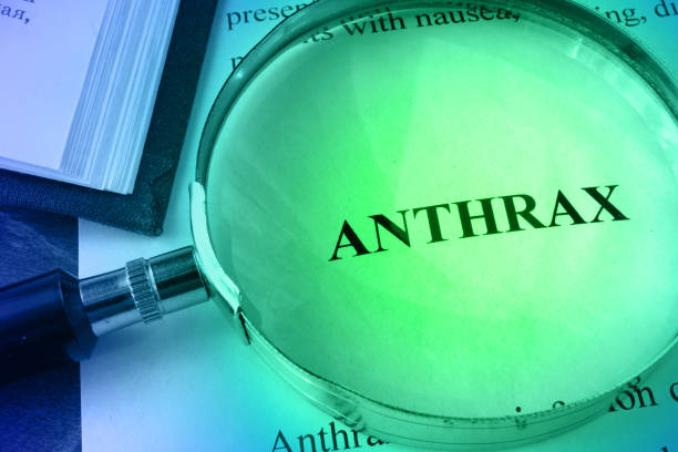 Document with word Anthrax in a hospital. Document with word Anthrax in a hospital. Anthrax stock pictures, royalty-free photos & images