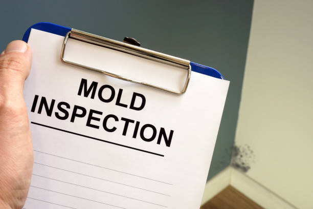 Documents about mold inspection with clipboard. Documents about mold inspection with clipboard. fungal mold stock pictures, royalty-free photos & images