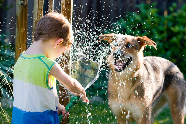 Dog and his Boy stock photo