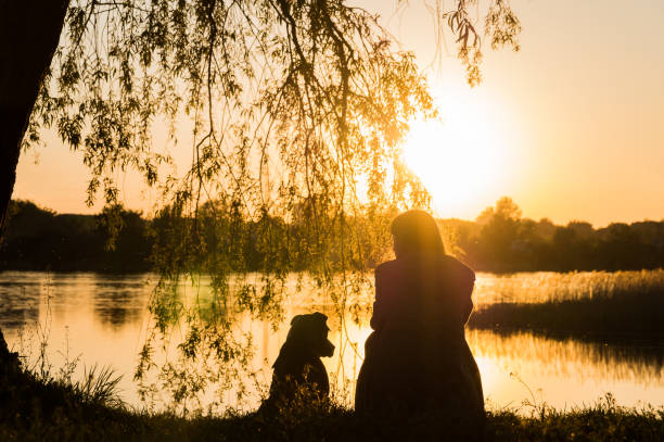 Dog and owner at the lake at sunset stock photo