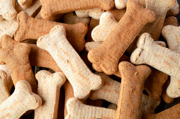 Dog Biscuit Background stock photo