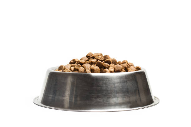 Dog food in a stainless steel bowl Dog food in a pet food dish dog food stock pictures, royalty-free photos & images