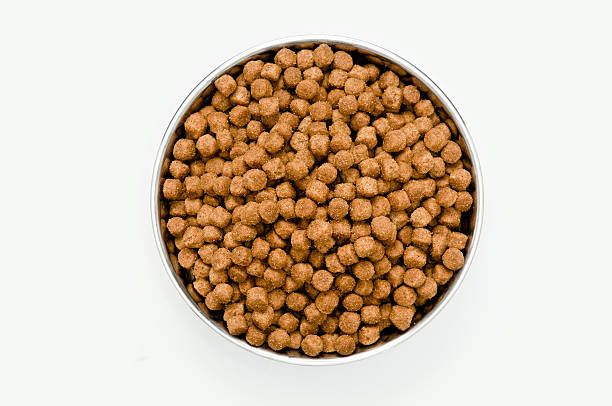 Dog food Dog food in the bowl with path.More object images: dog food stock pictures, royalty-free photos & images