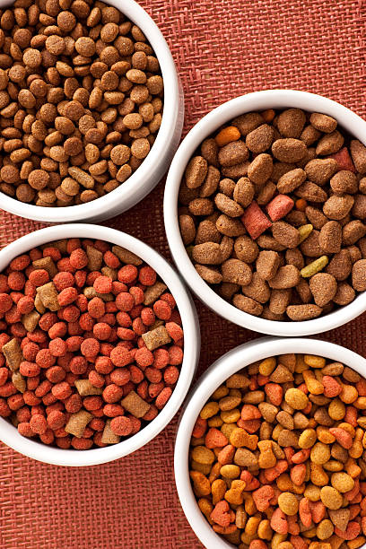 Dog food varieties Four bowls with different types of pet food dog food stock pictures, royalty-free photos & images