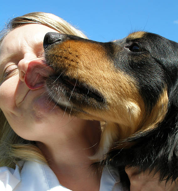 Is It OK to Kiss Your Dog on the Head? — Pet Carrier Verdict