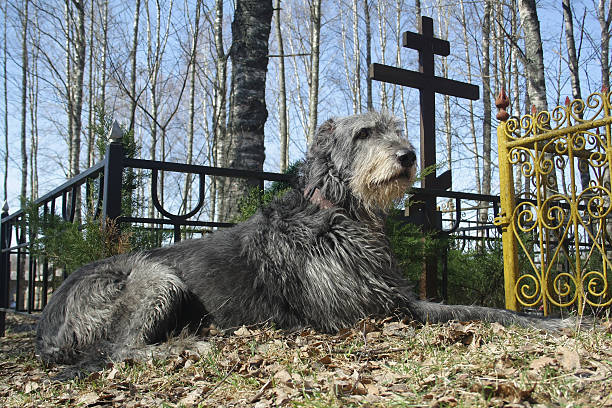 Dog Headstone, Pet Gravestone