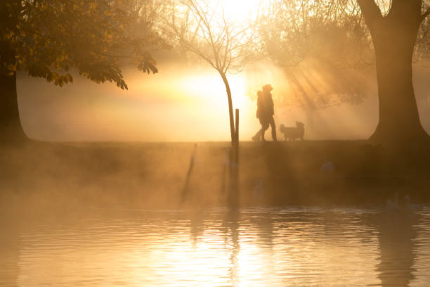 dog walkers in front of lake in early morning light with trees and shafts of light in the background early morning mist rising over water and people in the background early morning dog walk stock pictures, royalty-free photos & images
