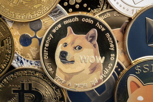 Dogecoin cryptocurrency to be accepted by SpaceX