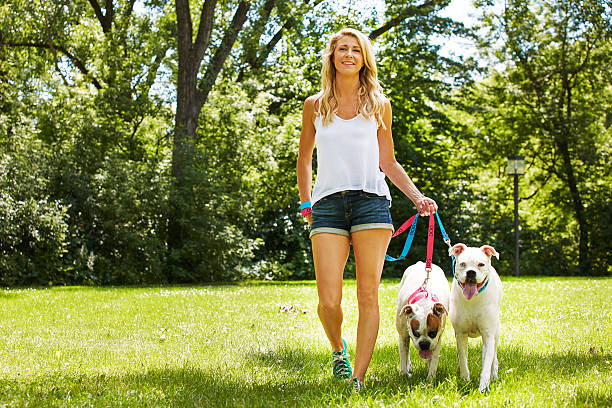 Dogs keep you happy and healthy Shot of a young woman with her two dogs at the park boxer puppy stock pictures, royalty-free photos & images