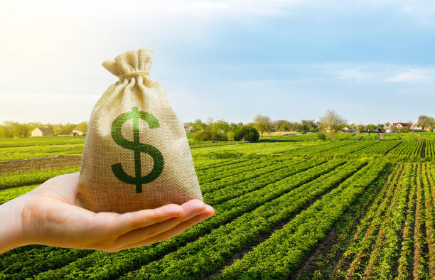 farm real estate loans illinois