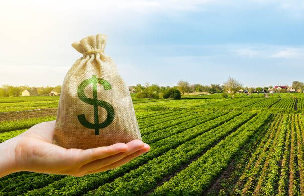 small farm loans louisiana