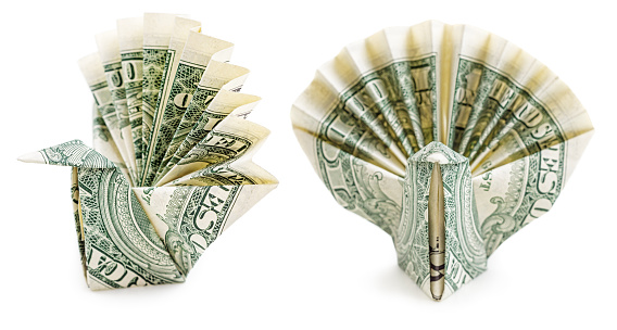 Dollar origami peacock isolated