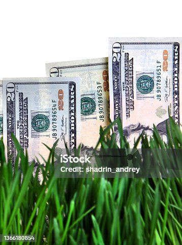 istock Dollars in the Grass 1366180854