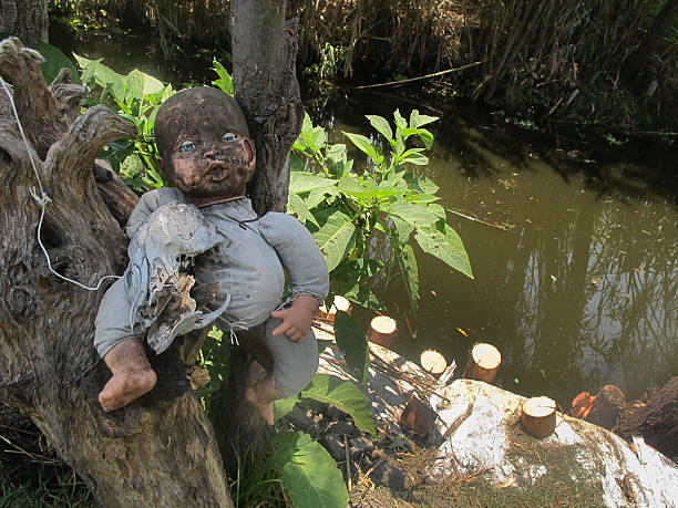 Dolls of Xochimilco Dolls on some of the "chinampas" (artificial islands) located in Xochimilco. Originally intended to protect from evil spirits, they are now a tourist attraction. doll stock pictures, royalty-free photos & images