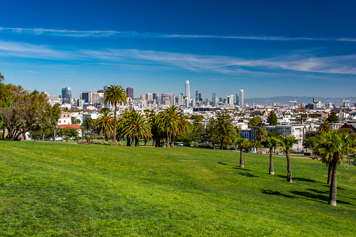 The skyline of San Francisco, seen from Dolores Park in the Mission District.