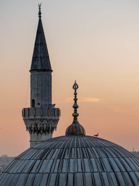 dome and tower of Istanbul mosque dome and tower of Istanbul mosque at sunset minaret stock pictures, royalty-free photos & images