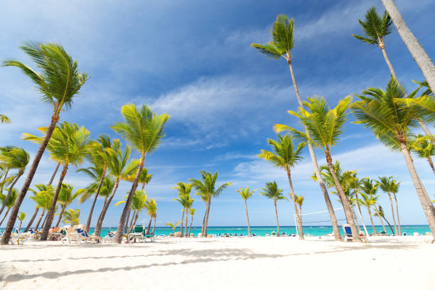 Dominican Republic travel destination, beach scene stock photo
