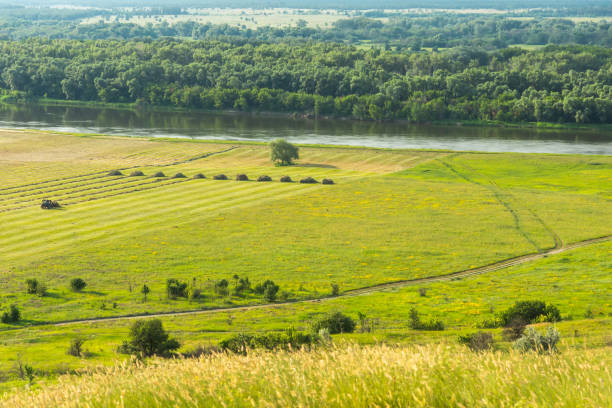 Don river valley in early summer stock photo