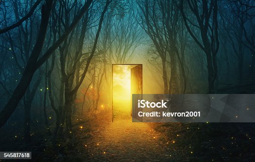 istock Door in forest 545817618