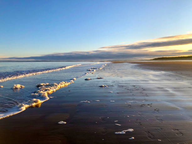 Dornoch beach, Scotland Dornoch beach is a beautiful expanse of golden sand located on the tranquil Dornoch Firth golden hour stock pictures, royalty-free photos & images