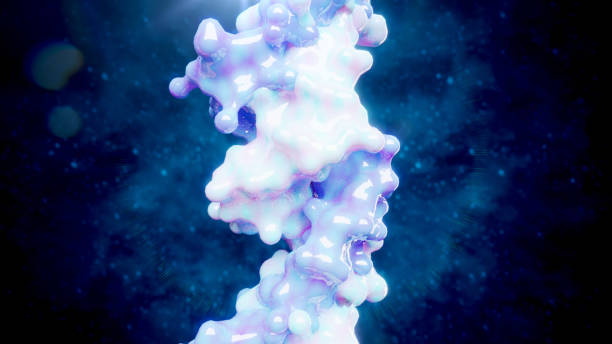 DNA Double Helix atom surface representation stock photo