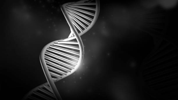 DNA double helix model on a black background, 3D render. stock photo