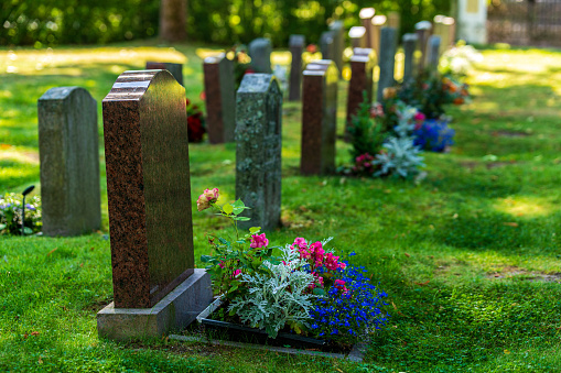 Beautiful summer view of a double row of gravestones decorated with colorful flowers at a well cared cemetery in Sweden