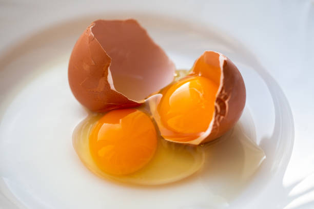 Double yolk of a broken egg on a white plate. Anomaly in chicken health. egg yolk stock pictures, royalty-free photos & images