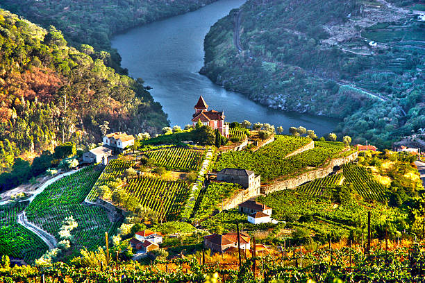 Douro Valley Landscape in Douro Valley, Portugal portugal stock pictures, royalty-free photos & images