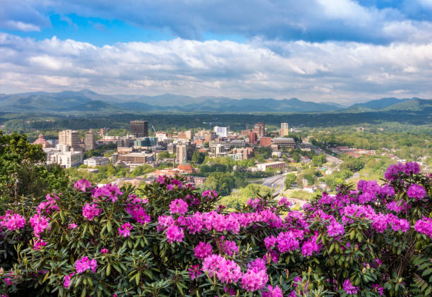 Downtown Asheville skyline flowers in spring stock photo