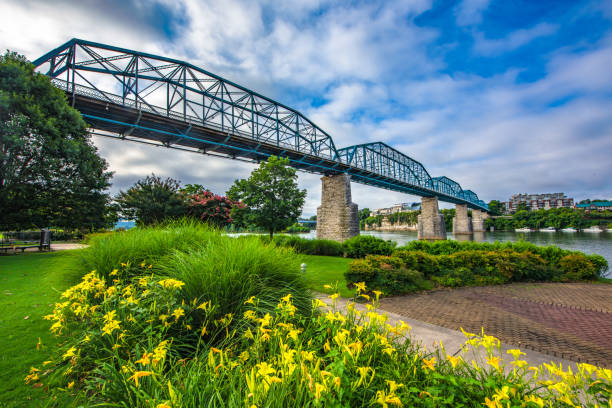 Downtown Chattanooga Tennessee TN USA Downtown Chattanooga Tennessee TN Coolidge Park and Market Street Bridge. chattanooga stock pictures, royalty-free photos & images