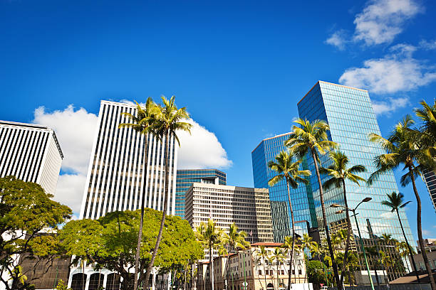 Downtown Financial and Business District of Honolulu Oahu, Hawaii, USA Honolulu, the capitol city of the state of Hawaii USA. The business commercial and financial district and downtown skyline with high-rises and historic buildings lined with palm trees along the seafront of the city. Photographed on location in horizontal format with copy space available on upper portion of the photo. honolulu stock pictures, royalty-free photos & images