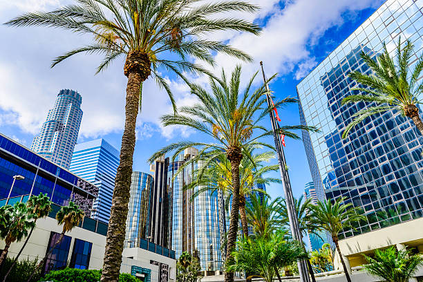 Downtown Los Angeles California skyline cityscape skyscrapers and palm trees stock photo