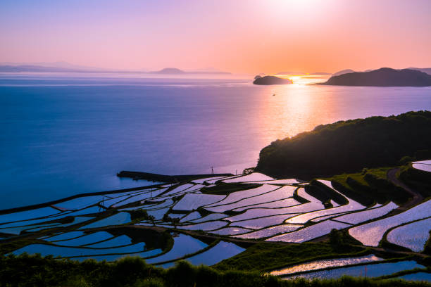 Doya Tanada, sunset on the rice field, kyushu, japan Doya Tanada, sunset on the rice field, kyushu, japan nagasaki prefecture stock pictures, royalty-free photos & images