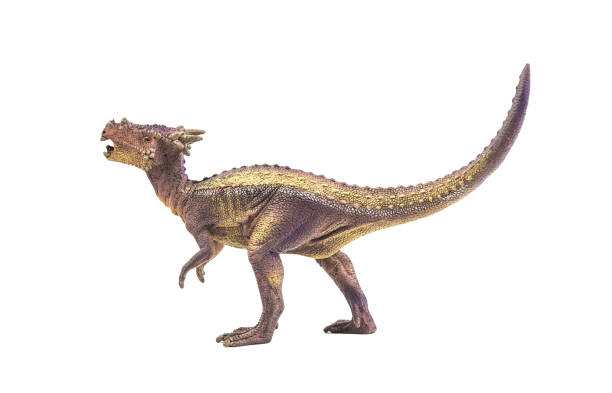Dracorex , dinosaur on white background . Clipping path stock photo