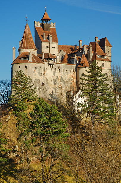 Dracula's Bran Castle, Transylvania, portrait view stock photo